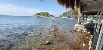 Bodrum'da denizin çekilmesiyle Tavşan Adası'ndaki tarihi surlar ortaya çıktı