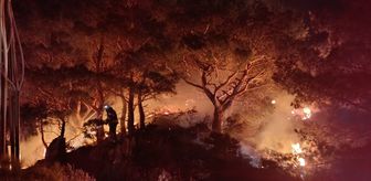 Bodrum'da ormanlık alanda çıkan yangın söndürüldü