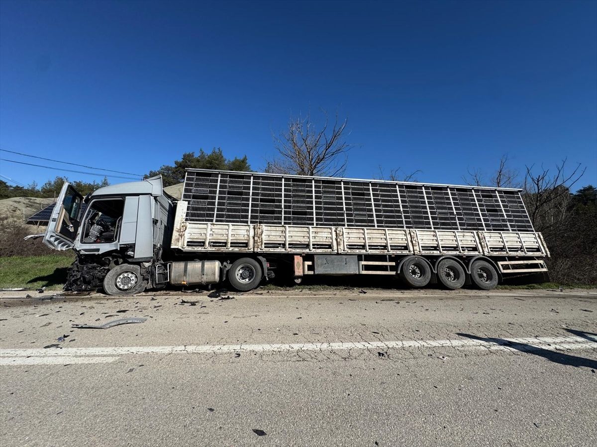 Bolu'da tırla çarpışan otomobilin sürücüsü öldü