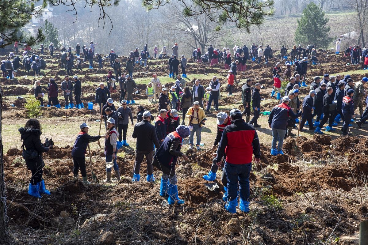 Bolu'dan kısa kısa