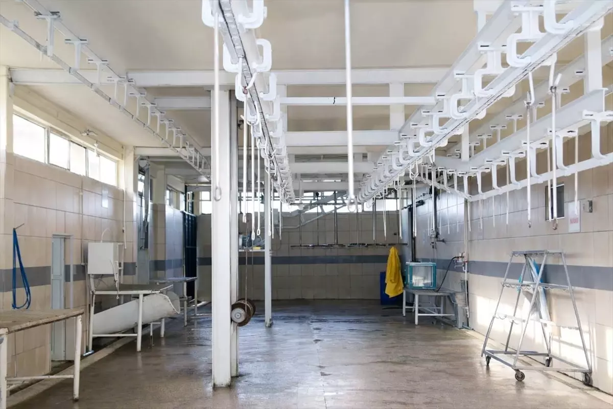 Boyabat Belediyesi mezbahanesi yenilendi