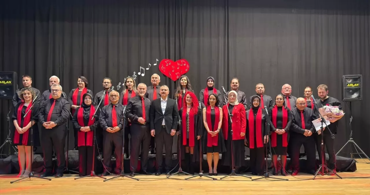 Boyabat'ta 14 Şubat konseri