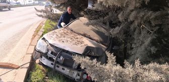 Bursa'da ağaca çarpan otomobilin sürücüsü yaralandı