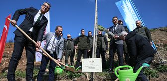 Bursa'da basın mensupları yanan ormanlık alana fidan dikti