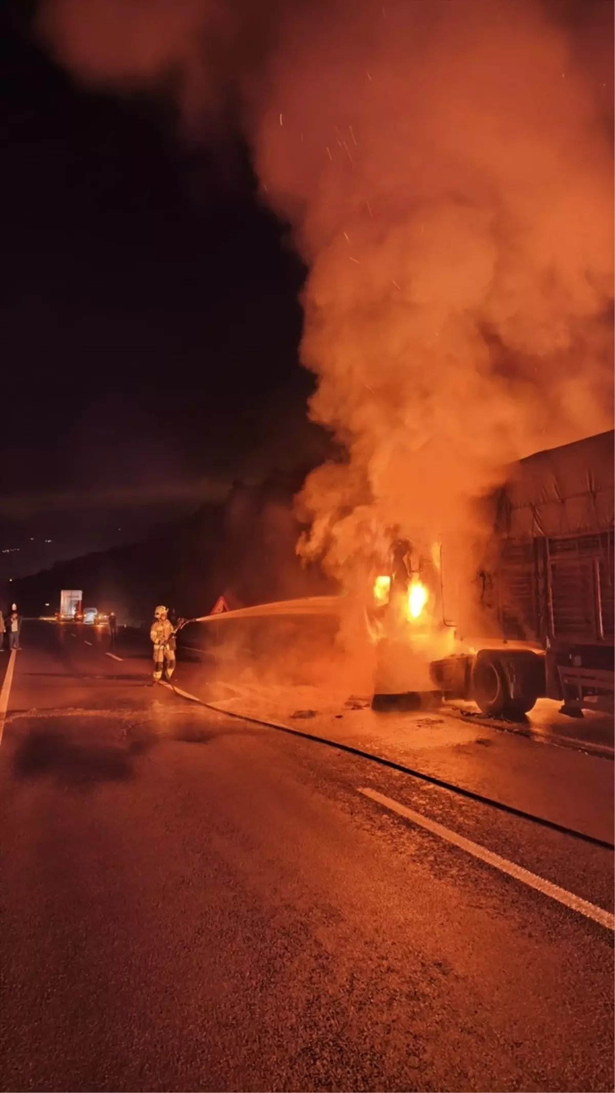 Bursa'da mısır yüklü tırda çıkan yangın hasara neden oldu