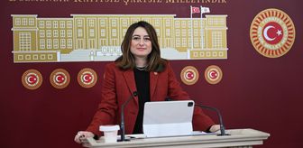 CHP'li Bankoğlu, esnaf borçlarının faizsiz dondurulmasını istedi