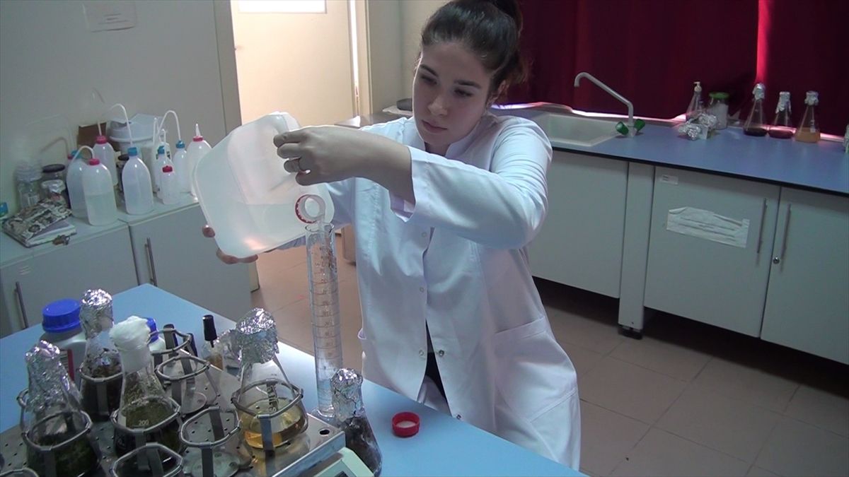 ÇOMÜ'lü akademisyenler çay özü ve bor mineraliyle dezenfektan formülü geliştirdi