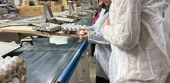 Çorum'da ramazan öncesi gıda denetimleri sürüyor