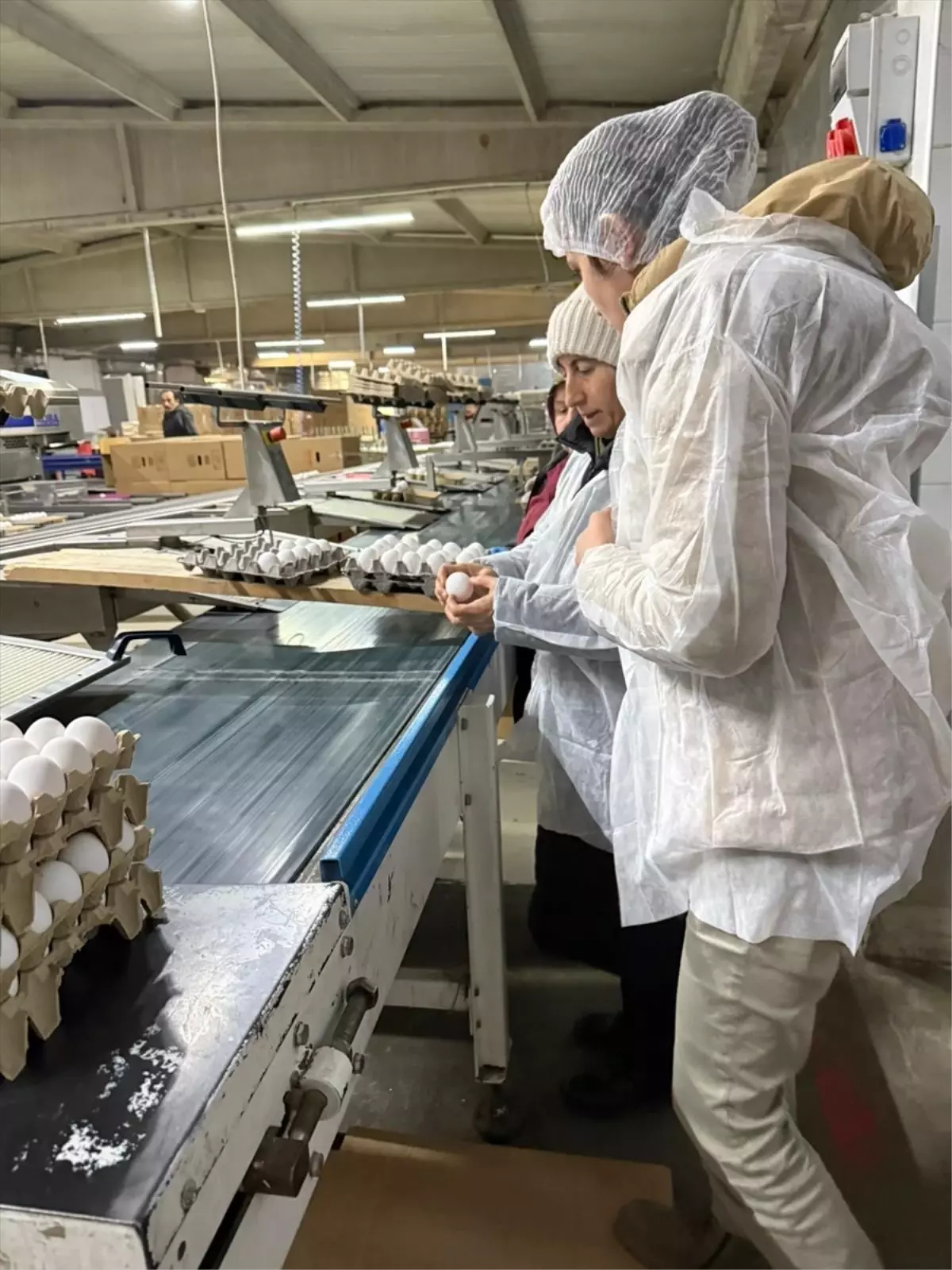 Çorum'da ramazan öncesi gıda denetimleri sürüyor