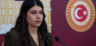 DEM Parti milletvekilleri Meclis'te basın toplantısı düzenledi