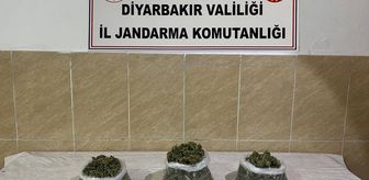 Diyarbakır'da uyuşturucu operasyonlarında 12 şüpheli hakkında yasal işlem yapıldı