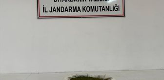 Diyarbakır'da uyuşturucu operasyonlarında 22 şüpheli hakkında işlem yapıldı