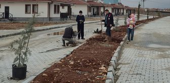 Doğanşehir'de yapımı süren köy konutları alanında peyzaj çalışması yapılıyor