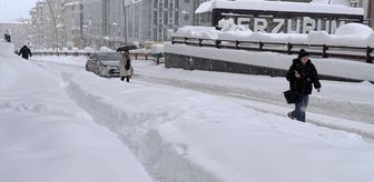 Doğu Anadolu'da 2 bin 454 yerleşim yerine ulaşım sağlanamıyor