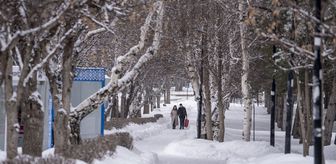 Doğu Anadolu'da 5 ilde kar ve soğuk hava etkili oluyor