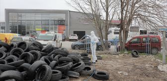 Edirne Belediyesinin vektörle mücadele çalışmaları sürüyor