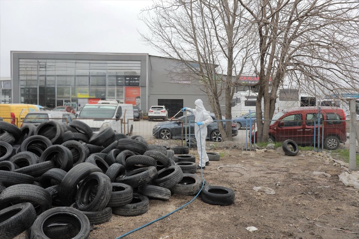 Edirne Belediyesinin vektörle mücadele çalışmaları sürüyor