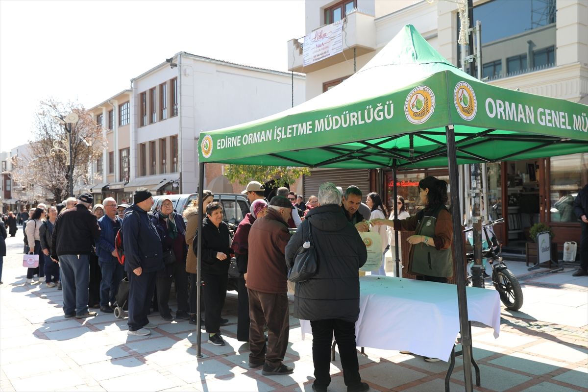 Edirne'de 3 bin ıhlamur fidanı dağıtıldı
