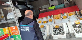 Edirne'de su ürünleri denetimleri sürüyor