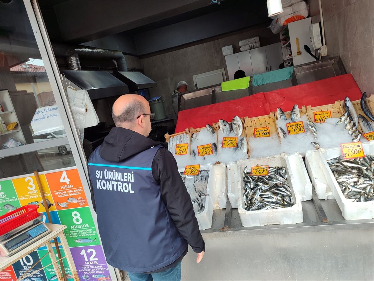 Edirne'de su ürünleri denetimleri sürüyor