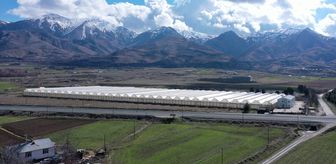 Elazığ'da güneş enerjisi santraliyle desteklenen serada üretimin artırılması hedefleniyor