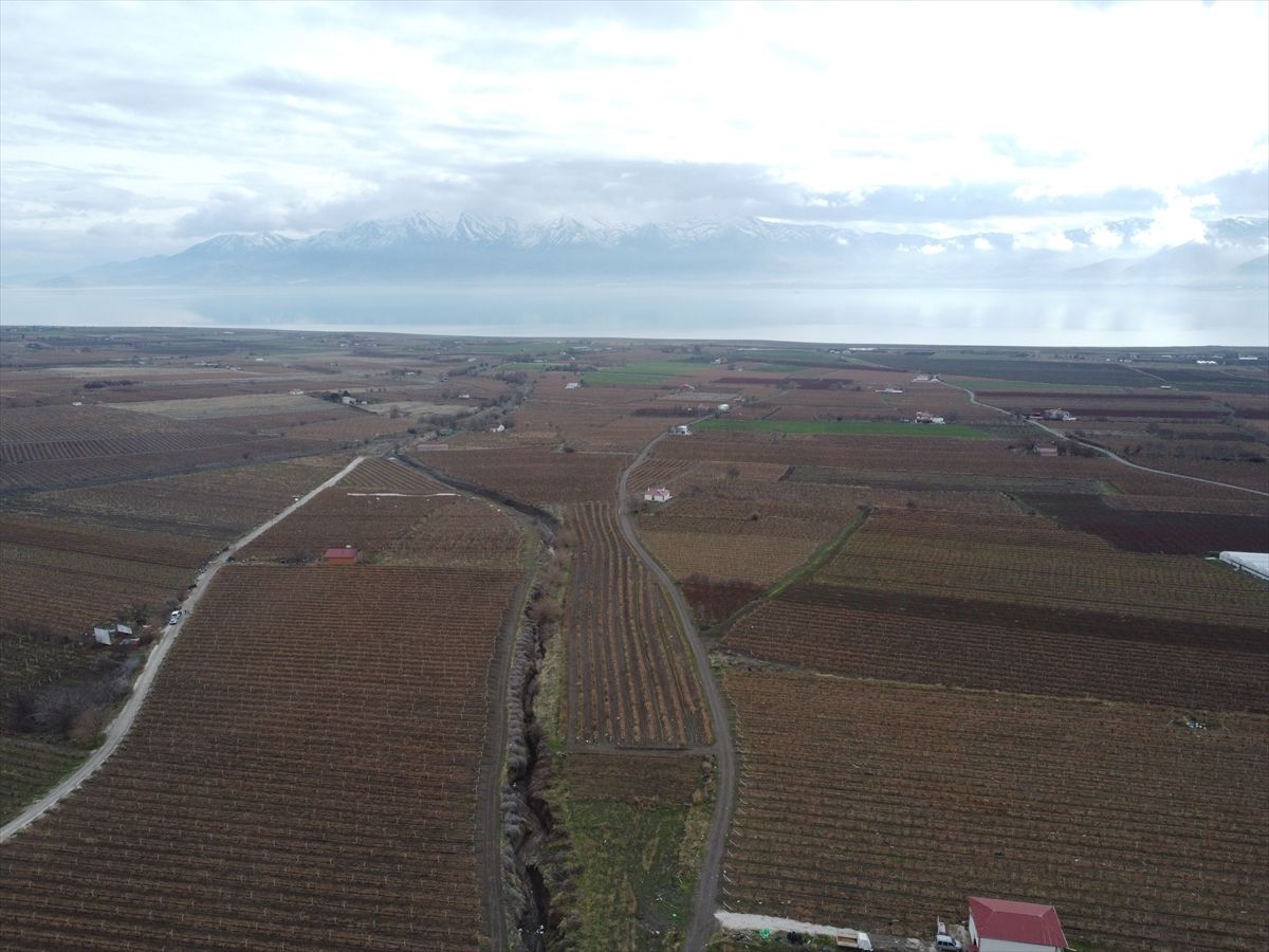 Elazığ'da üzüm üreticileri yoğun kar yağışı nedeniyle verimden umutlu