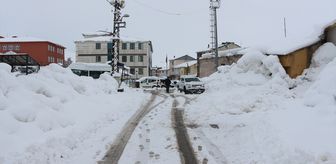 Elazığ ve Bingöl'de 171 yerleşim yerine ulaşım sağlanamıyor