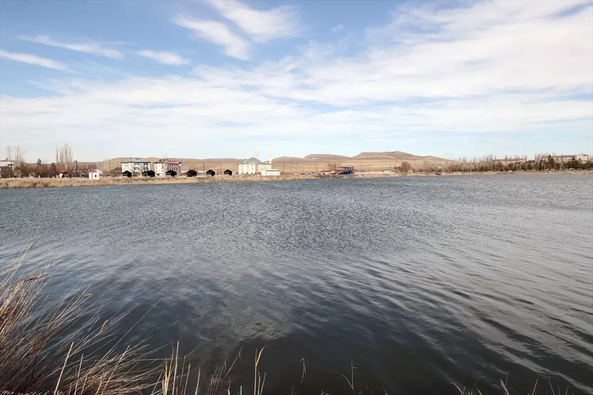 Eriyen kar suları kuruma tehlikesiyle karşı karşıya olan Ulaş Gölü'ne "can suyu" oldu