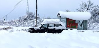 Erzincan'da kar yağışı hayatı olumsuz etkiliyor