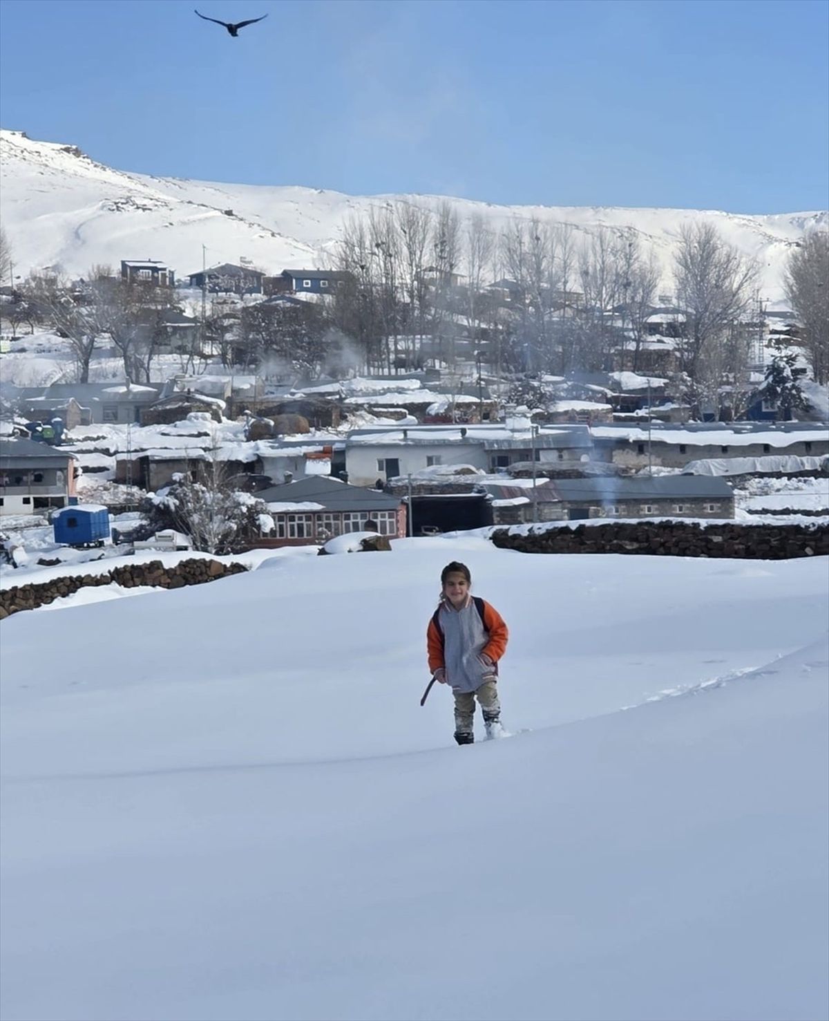 Erzurum, Ardahan, Kars ve Ağrı'da dondurucu soğuk hava etkili oluyor