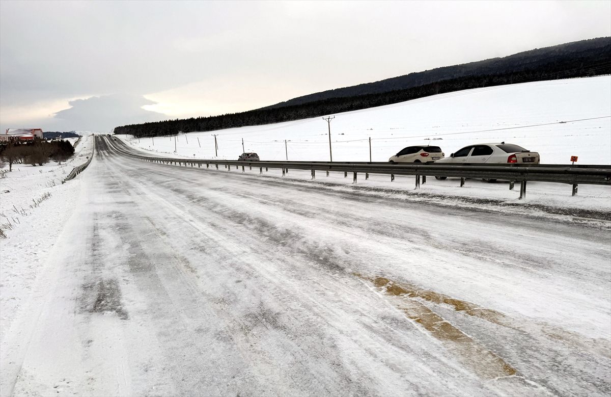Erzurum, Ardahan, Tunceli, Kars ve Erzincan'da kar etkili oldu