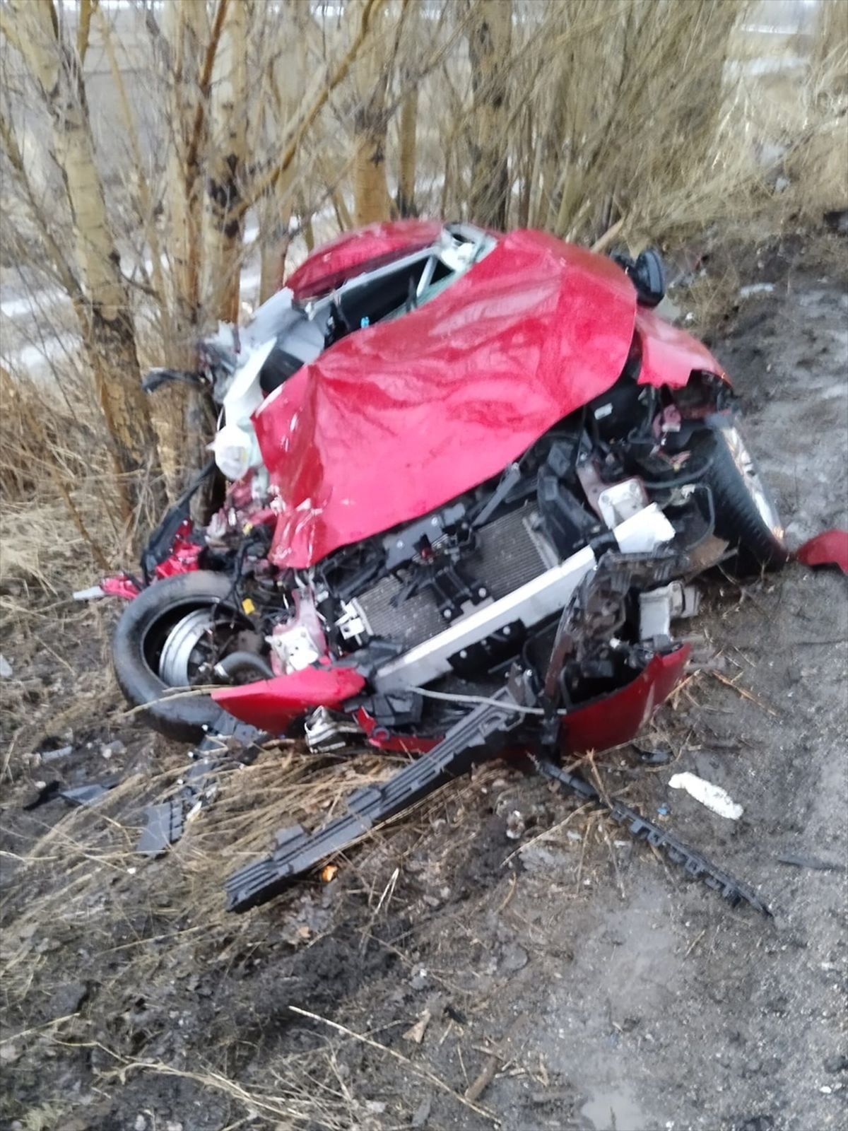 Erzurum'da ağaca çarpan otomobildeki 2 kişi öldü