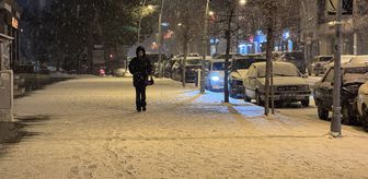 Erzurum'da kar yağışı etkili oldu