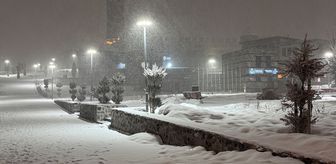Erzurum'da yoğun kar yağışı etkili oluyor