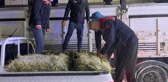 Erzurum'da yolda kalan tırlardaki hayvanlar beslendi