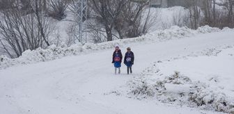 Erzurum, Kars, Tunceli ve Ardahan'da kar yerini soğuk havaya bıraktı