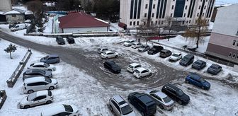 Erzurum, Kars ve Ardahan'da soğuk hava etkili oluyor