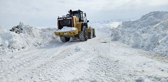 Erzurum, Tunceli ve Kars'ta kar nedeniyle 198 yerleşim yerinin yolu kapandı