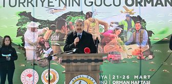 Eskişehir'de Orman Haftası kapsamında 20 bin fidan dikildi