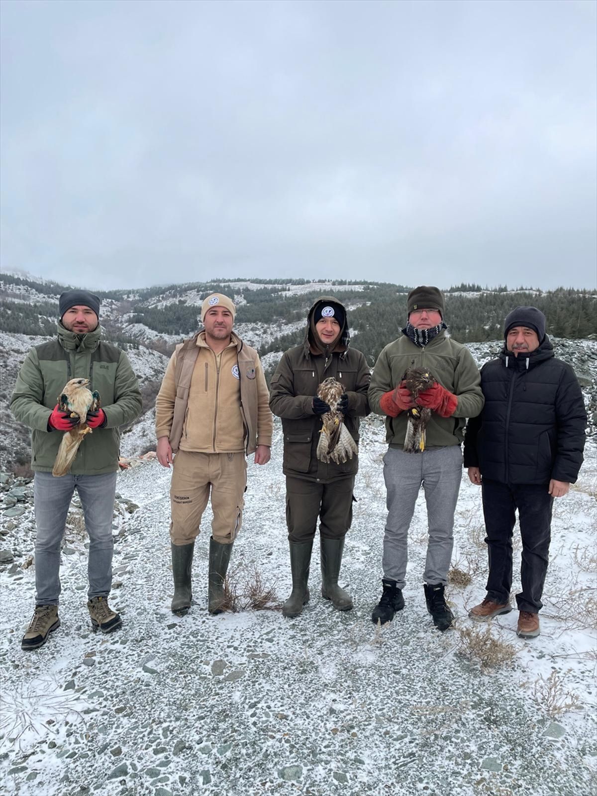 Eskişehir'de yaralı 3 şahin ve 1 kara akbaba tedavi edildi