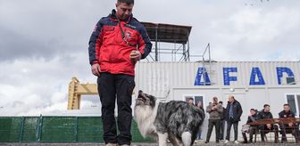 Evdeki can dostları arama kurtarma görevine hazırlanıyor