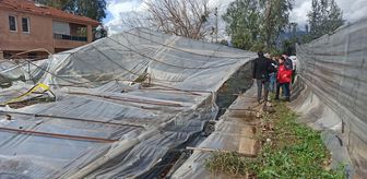 Fethiye'de rüzgardan zarar gören alanlarda hasar tespit çalışması başlatıldı