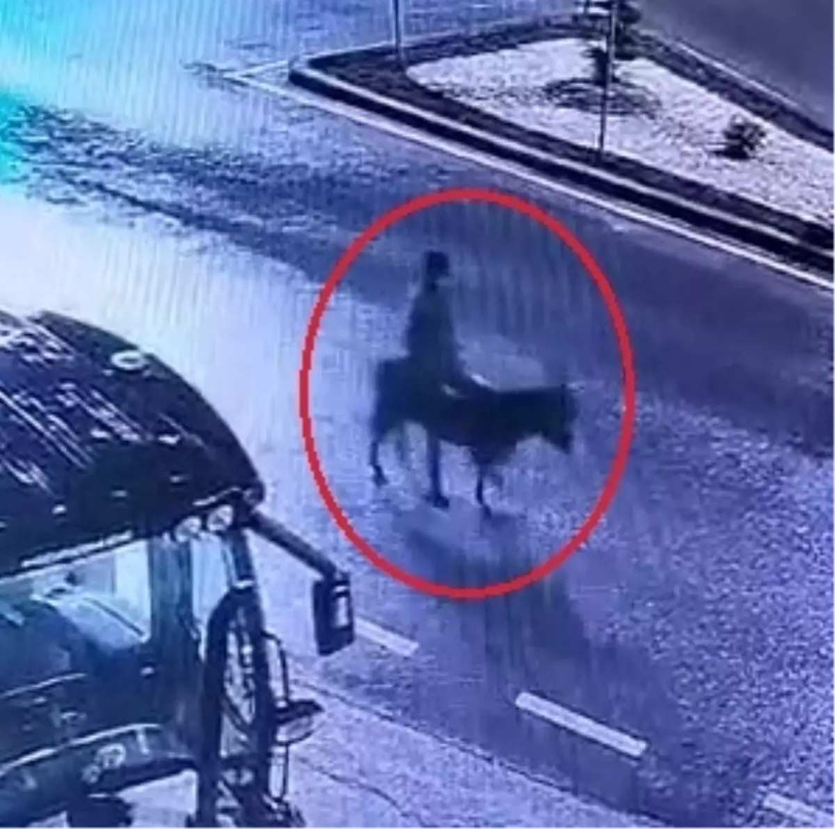 Forkliftle kuyumcu soyup eşekle kaçan şüpheli: Yaşadığım maddi sıkıntılar aklıma geldi