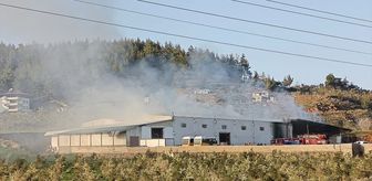 Gaziantep'teki biber fabrikasında çıkan yangın söndürüldü