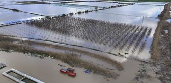 Gediz Nehri'nin taşması sonucu İzmir'de tarım arazileri sular altında kaldı