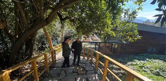 Giresun Valisi Koç, Giresun Adası'nda süren çalışmaları inceledi