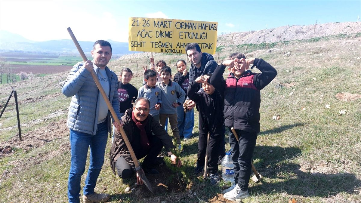 Gümüşhacıköy'de Orman Haftası'nda fidanlar toprakla buluşturuldu