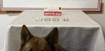 Gümüşhane'deki uyuşturucu operasyonunda 2 şüpheli yakalandı