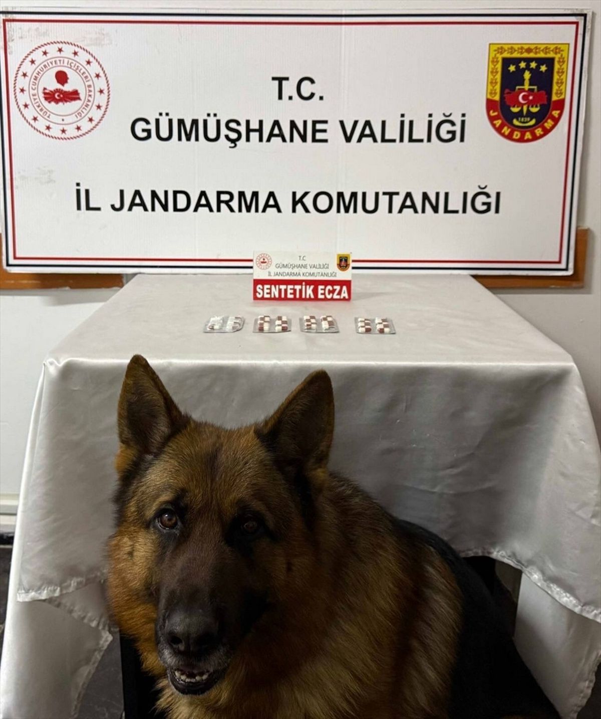 Gümüşhane'deki uyuşturucu operasyonunda 2 şüpheli yakalandı
