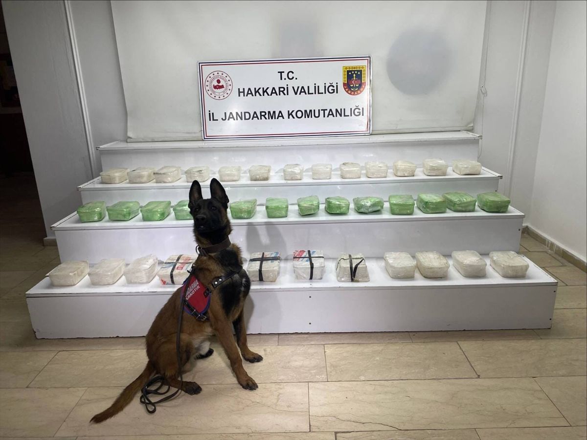 Hakkari'de 58 kilo 971 gram sentetik uyuşturucu ele geçirildi